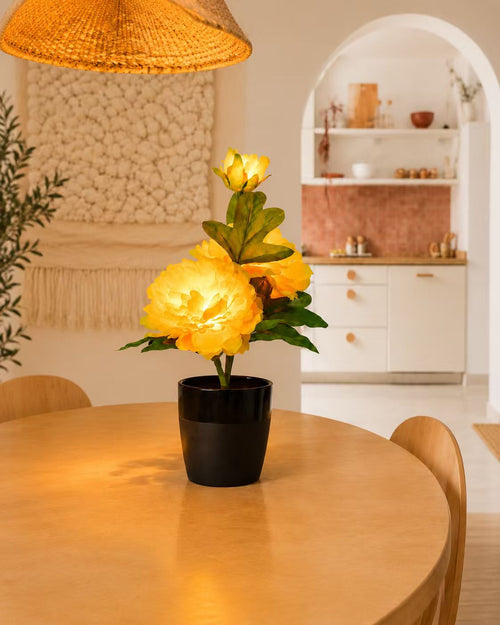 Blush Hyacinth – Black Column Vase